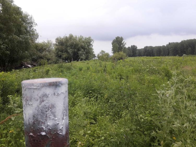 Teren Dunare-Uzlina - 7