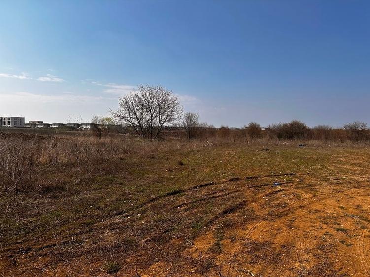 Teren Tunari/374mp - vis a vis Amber Gardens + Proiect Duplex - 2