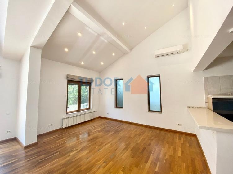 Vila cu piscina Iancu Nicolae - 6