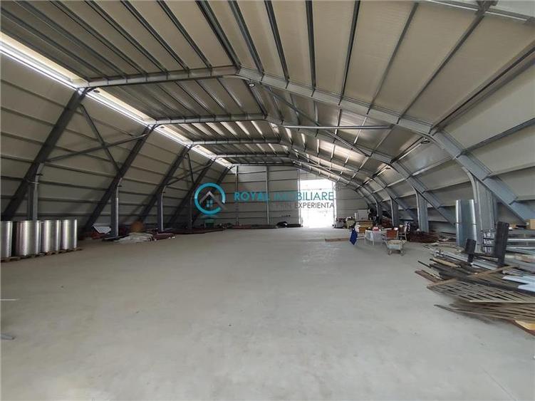 Royal Imobiliare - Inchirieri Spatii industriale/ Hale - 5