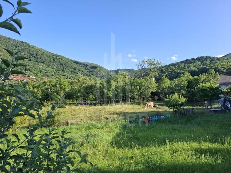 Casă tradițională de vânzare în Fântânele- vedere superba spre munti - 16