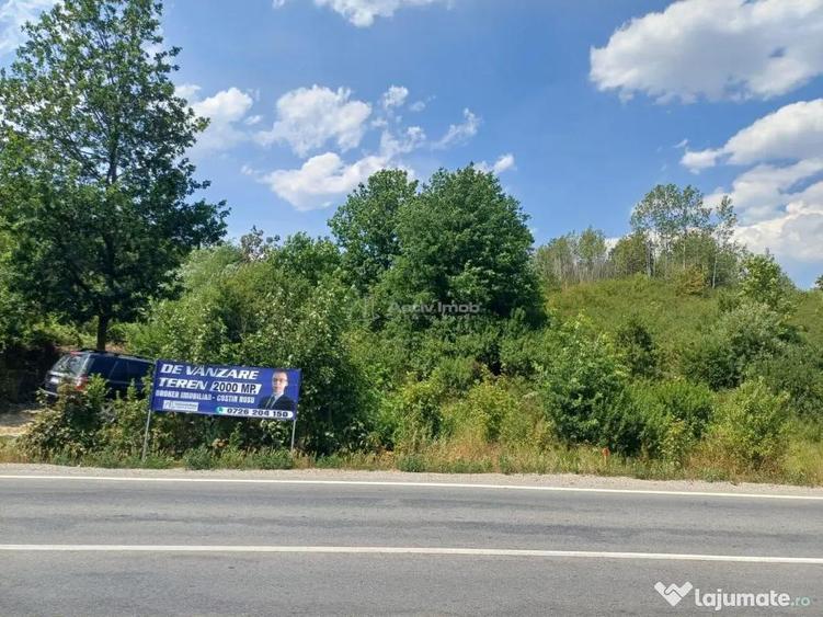 Resita, Terenuri Intravilane 2000 Mp., 20 Euro/Mp., Calea Ca - 6