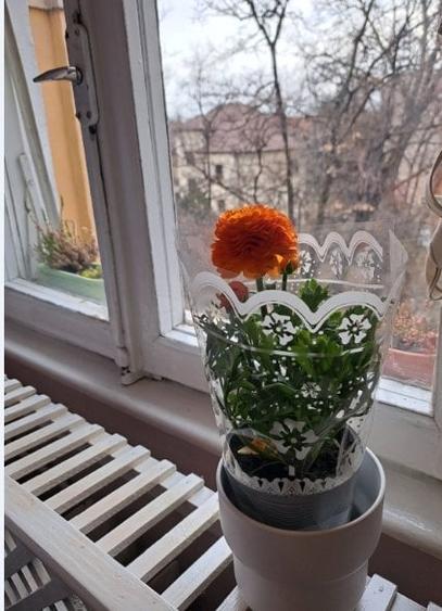 Langa Facultatea de Medicina, ideal investitie - 10