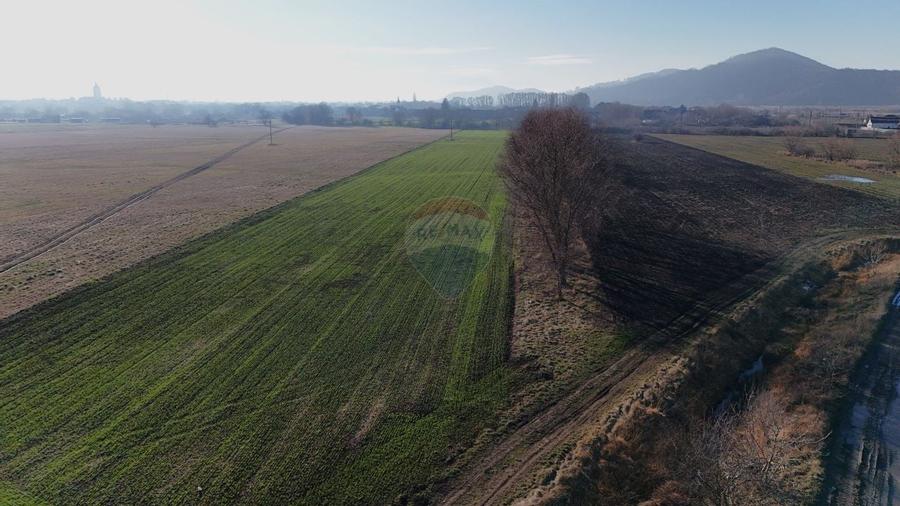 Teren extravilan cu potențial ridicat rezidential/industrial | Hărman - 7