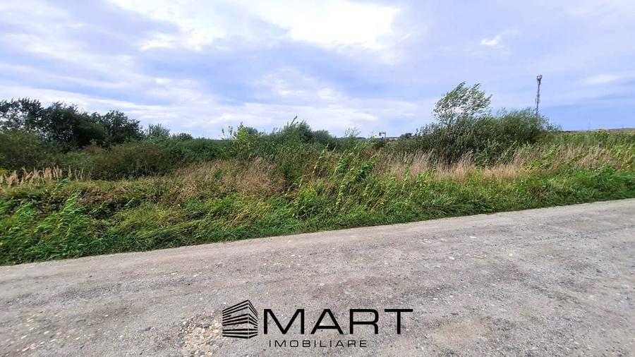 Teren extravilan 4800mp la intrare in Mohu - 3