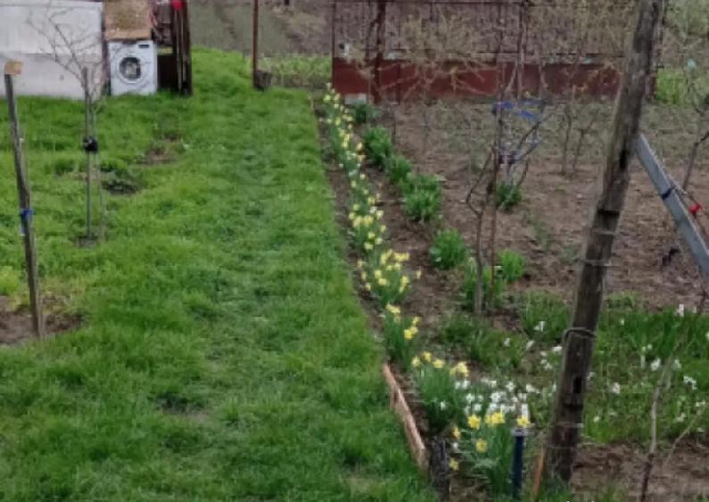 Teren 2.038 mp + Casa 50 mp de vanzare Sat Luncsoru, C - 1