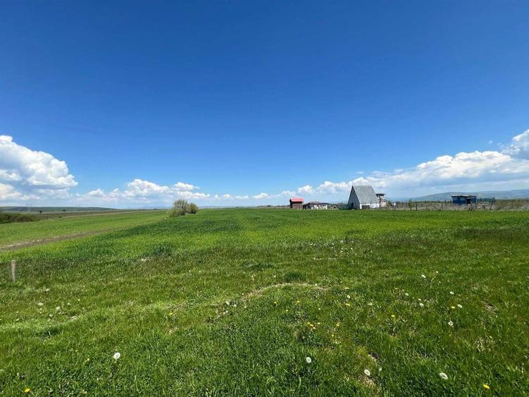Teren de 13400 mp, în Ilieni