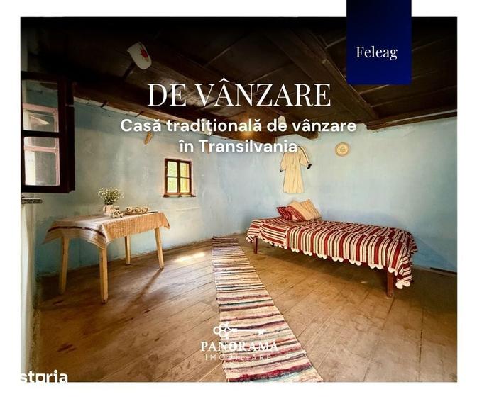 Casă cu 3 camere cu Teren 1590 Mp în Vânători