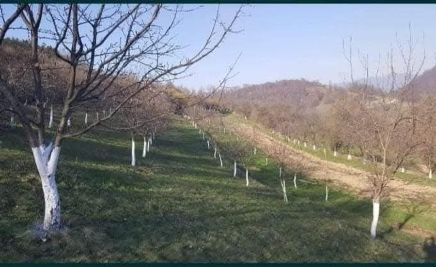Casă cu 4 camere în Câmp
