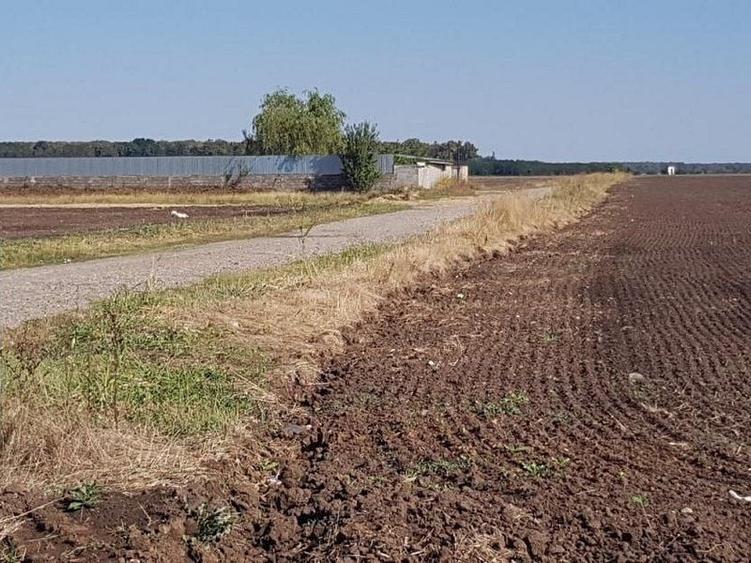 Teren Construcții intravilan de 30700 mp, în Brănești