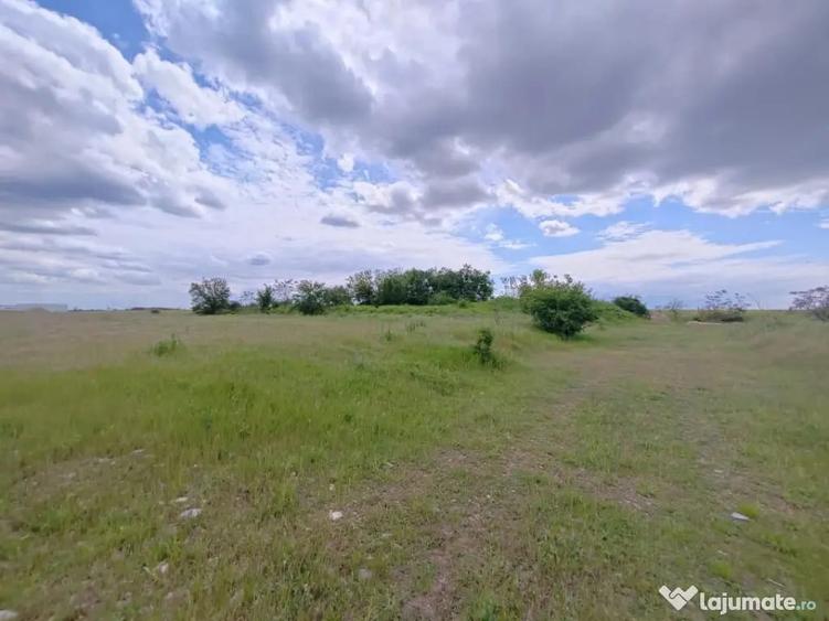 Teren în Ariceștii Rahtivani