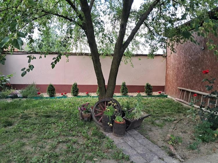 Casă cu Teren 2049 Mp în Bazoș