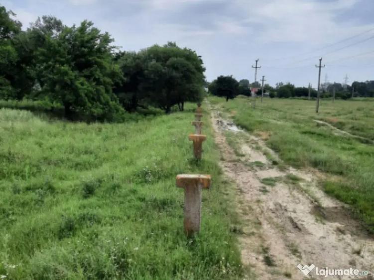 Teren extravilan de vanzare, 4900 mp, Bolde?ti Scaieni - 5