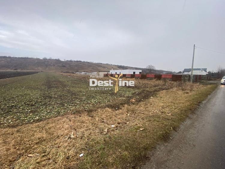 Teren de vanzare Girov 24.500 Euro 3200MP - 1