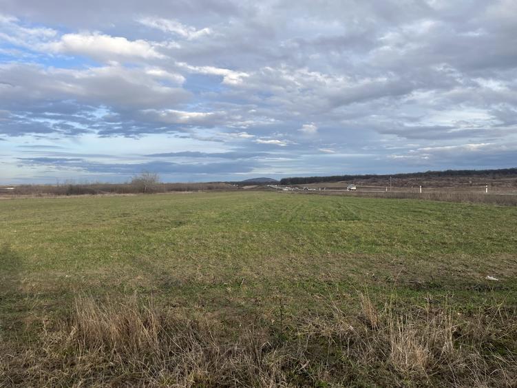 Teren 7481 mp, cu acces facil la Inelul Metropolitan - 4