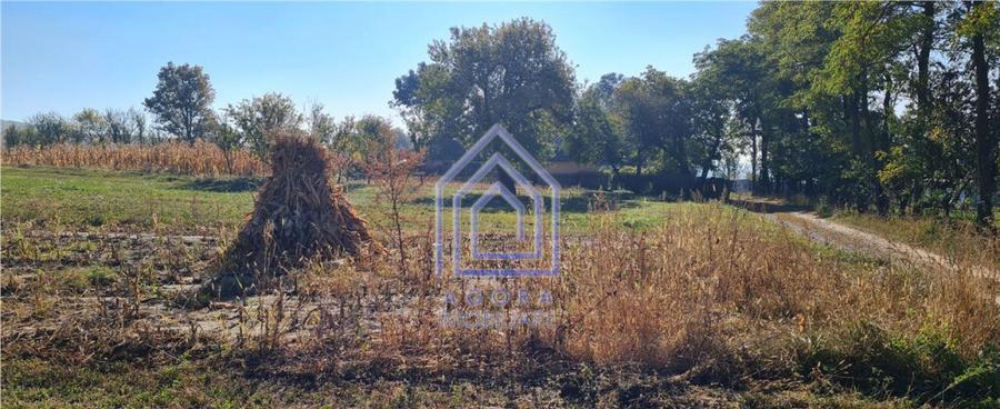 Teren constructie casa, Ilies, Dolhasca - 2