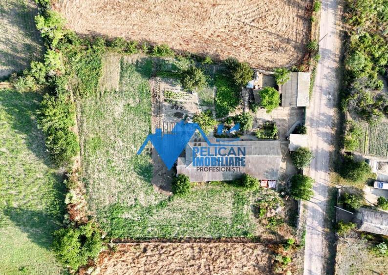 Casa cu teren in Salcioara (Jurilovca) - 2600mp - 6