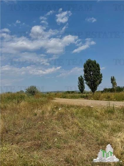 Teren industrial 4800 mp / DN1B  Zona showroom-uri auto / Deschidere 19 m - 10