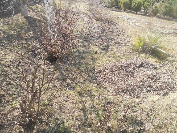 500 mp teren Piatra Neamt - 1