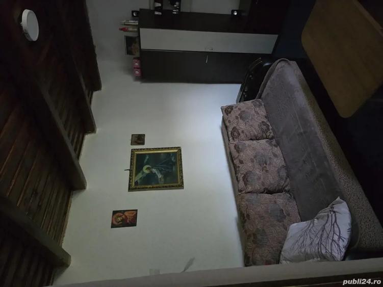 de vanzare casa la tara - 8