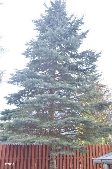 Apartament 2 Camere in Bu?teni - Panorama spectaculoasa spre munte - 7