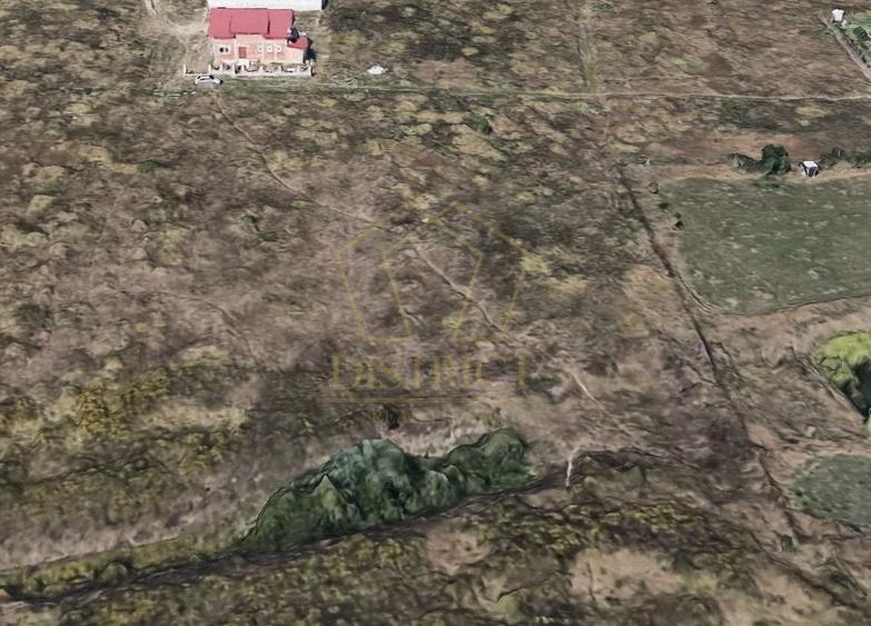 Parcela de teren intravilan cu destinatie SAD | Mosnita Noua | Valery - 3