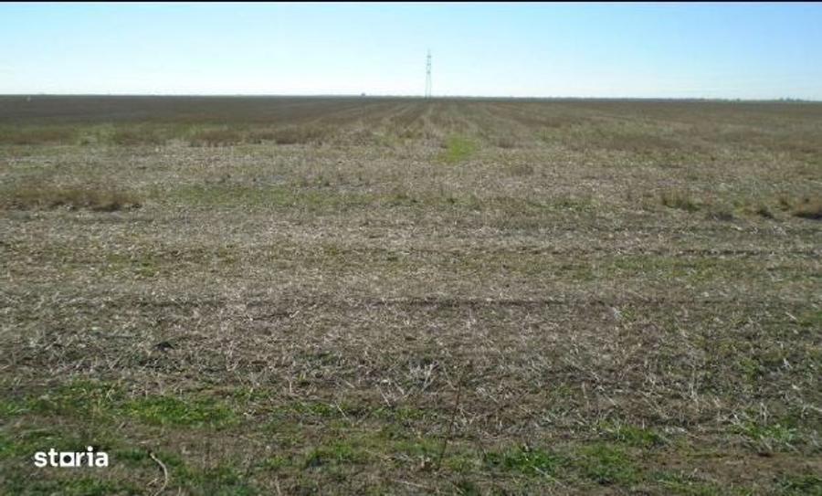 cota de 3/32 teren extravilan-Loc Cateasca, jud. Arges - 3