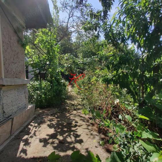 Vanzare teren Colentina - Moroeni - 4