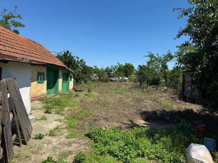 Casa parter Braila Ulmu/ Mohreanu curte 1225mp - 2