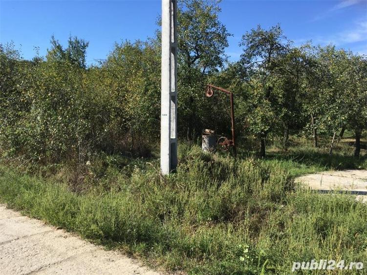 Vănd teren intravilan comuna BOGATI sat Glambocelu 1577 mp - 1