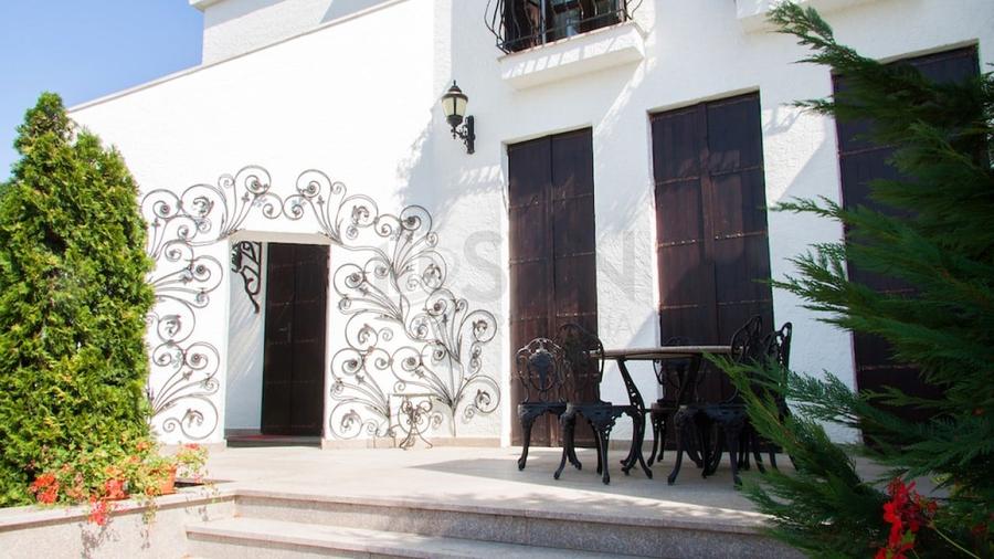 REV2000904 Vila spectaculoasa - zona Cernica - 20