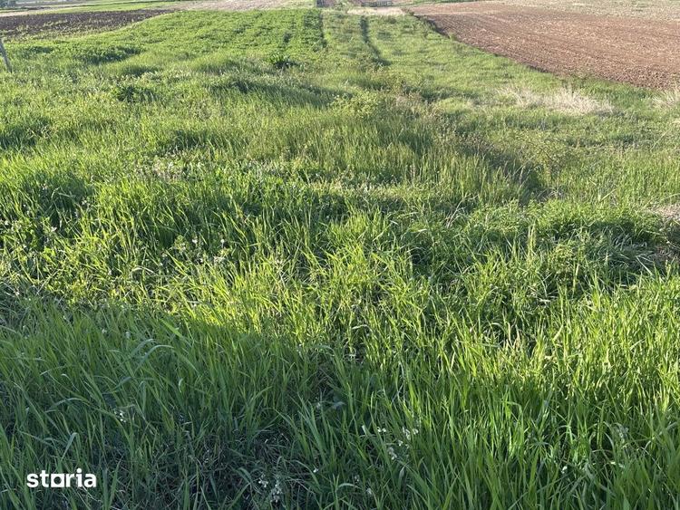 Teren Intravilan de vanzare in Alba Iulia zona Micesti in suprafata de - 1