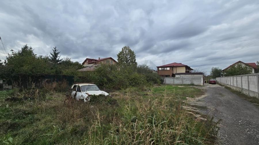 REL4001052 Teren de vanzare Domnesti - 1