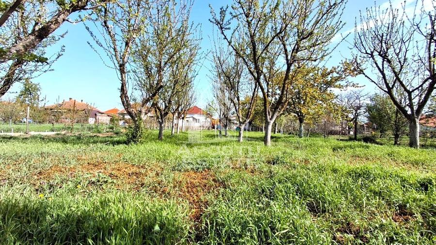 Casa de vanzare in Ineu formata din 2 cladiri - 43