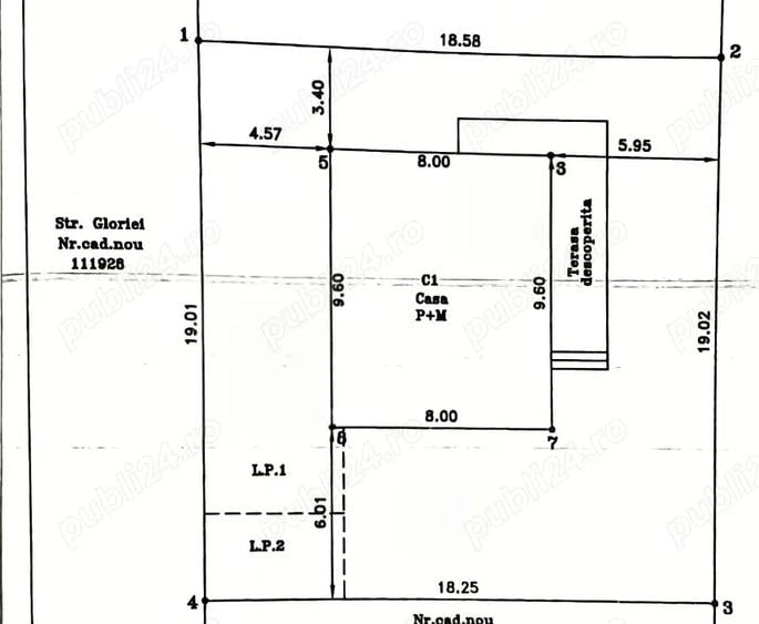 Proprietar, Casa individuala Sanandrei - 1