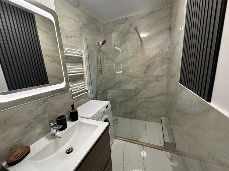 Apartament 2 camere B-dul Victoriei - Parcul Sub Arini - 9