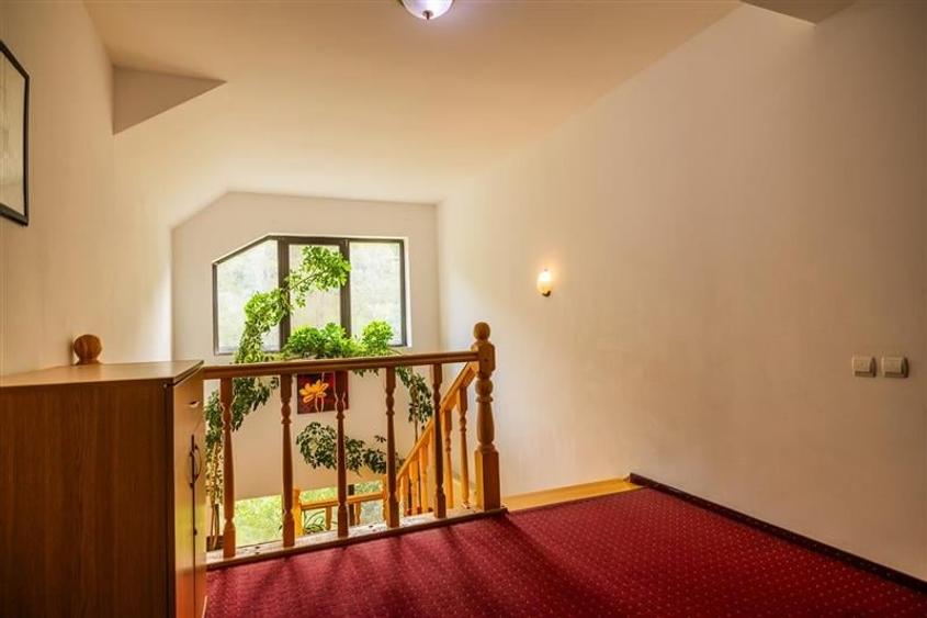 FILM! Pensiune turistica+Casa+transfer afacere+teren,Cheile Rasnoavei,Brasov - 6