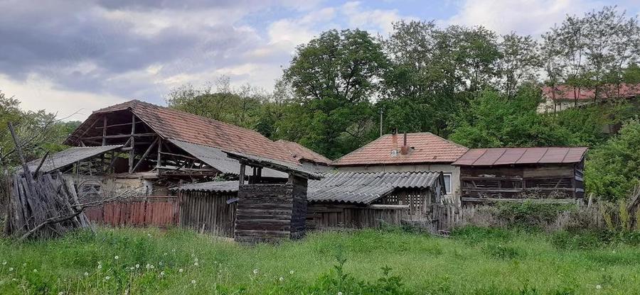 Casa de vanzare jude?ul Buzau, sat Basceni - 1
