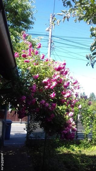 Proprietate de vanzare pe Vale Prahovei Casa ?i teren), in ora?ul Campina - 8