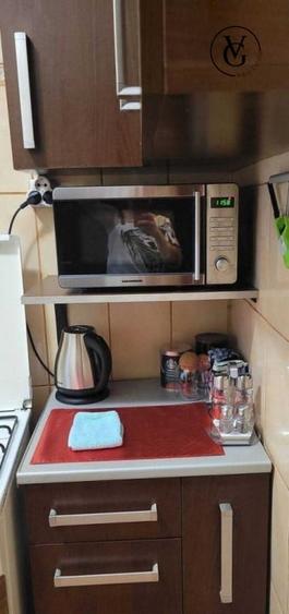 Garsoniera Cismigiu - 5