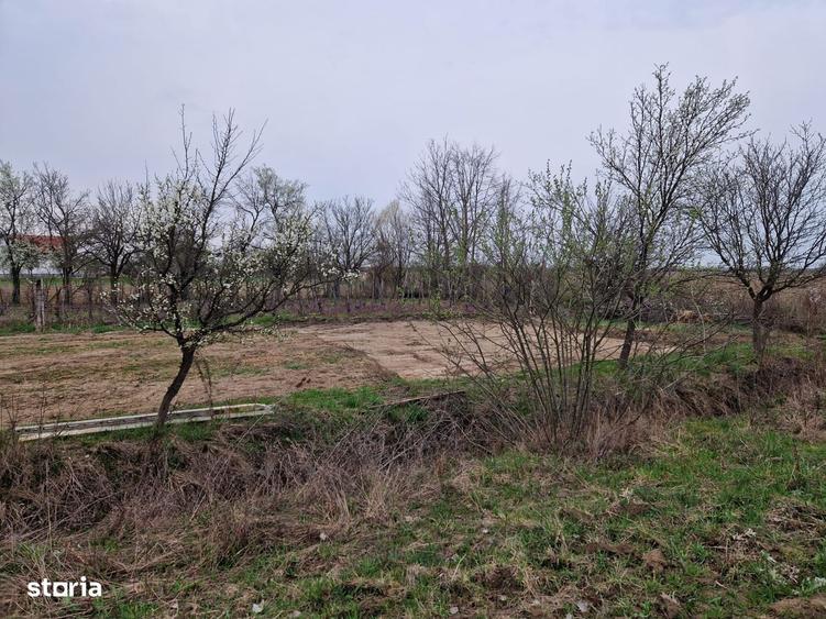 Teren intravilan in Cionchesti dublu front stradal, 12.5 ari - 2