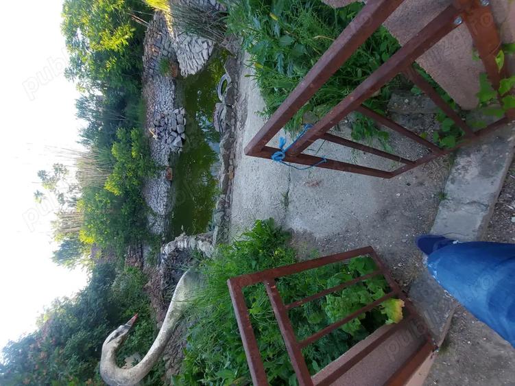 Vand Vila+Hala+Garaj+Cascada de Pesti!Piscina - 5