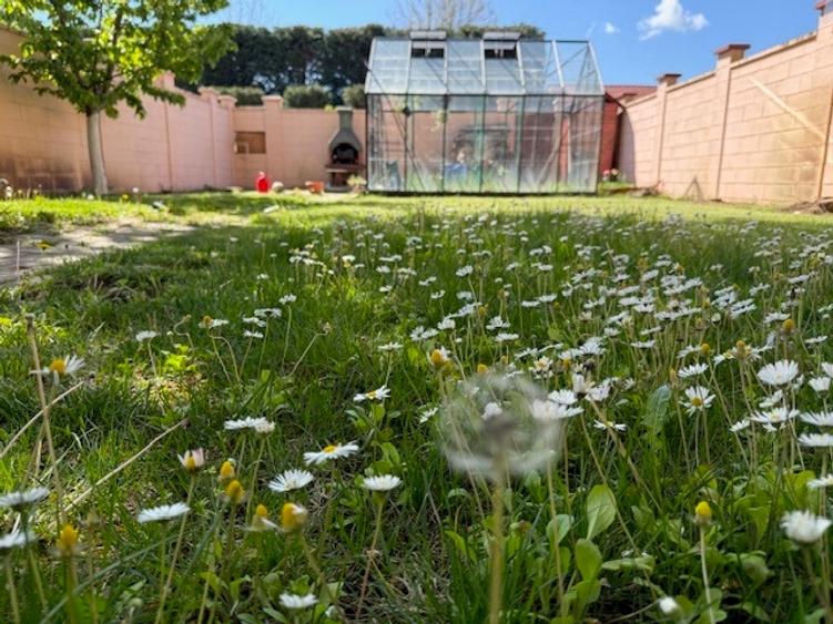 Casă de vânzare în Braytim, Timișoara Liniște, Confort și Accesibilitate! - 6