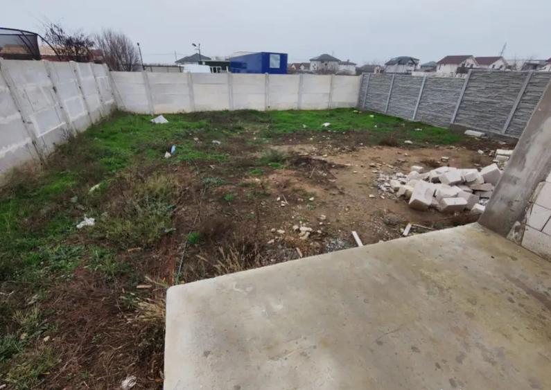 Casa Malu Mare - Capsunarie - Damila - 4