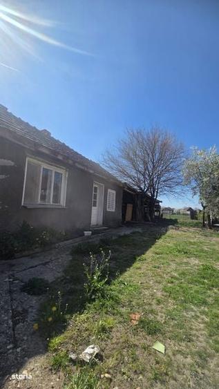Casa in oras Pancota - 3