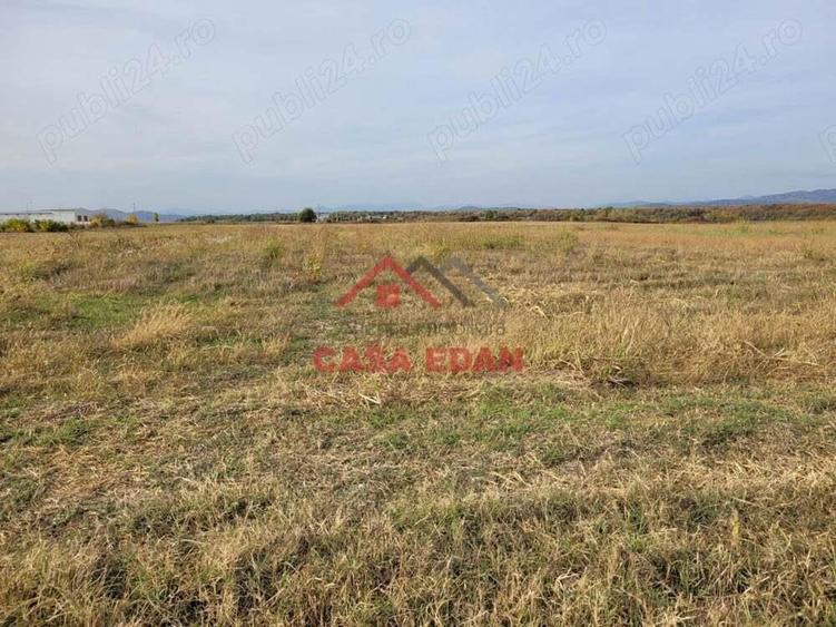 Teren intravilan in Baicoi zona targului--10.000mp--5e - 2