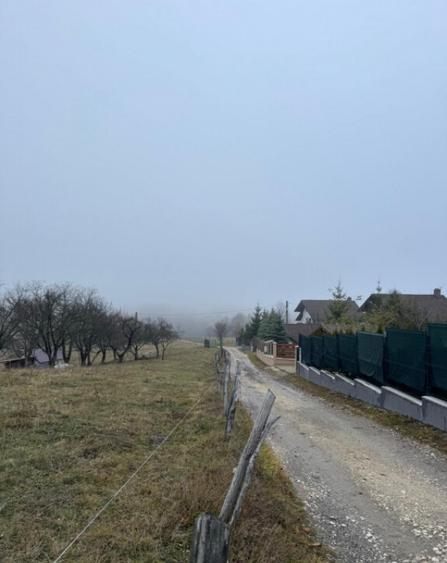 Teren Poiana Marului -Zarnesti -Brasov - 3