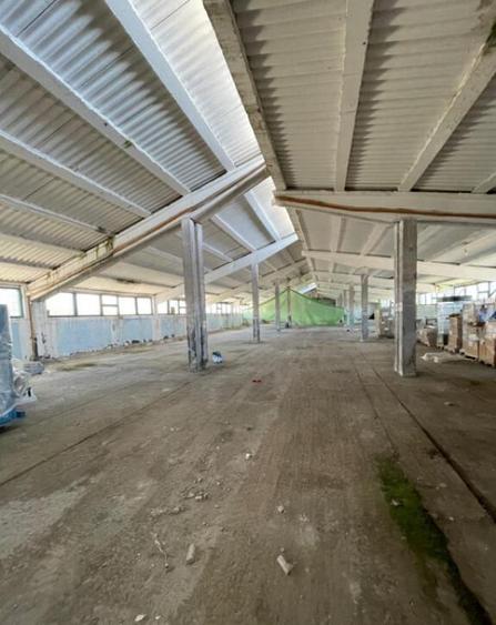 Hala situata in Ovidiu - 7