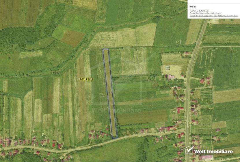 Teren 6200 mp, Fundatura, ferit de drumul principal - 1