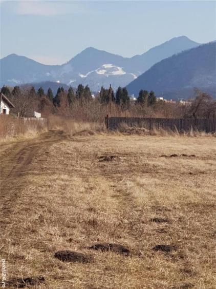 Teren 511 mp Bartolomeu - 6